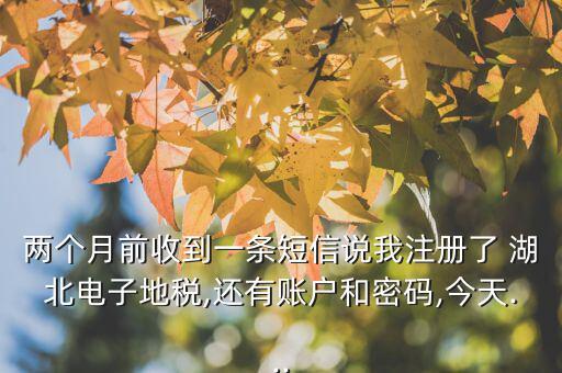兩個(gè)月前收到一條短信說(shuō)我注冊(cè)了 湖北電子地稅,還有賬戶(hù)和密碼,今天...