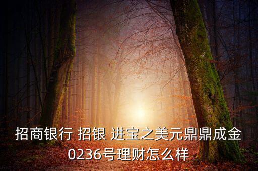 招銀進寶系列怎么樣,a系列資金供應(yīng)計劃最多持續(xù)2-3個月