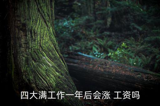 四大滿(mǎn)工作一年后會(huì)漲 工資嗎