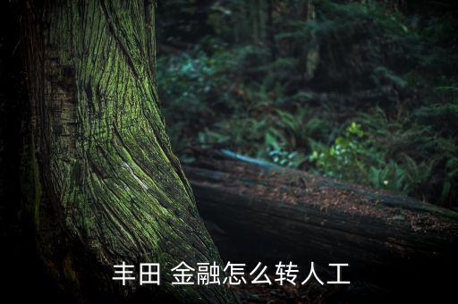  豐田 金融怎么轉人工
