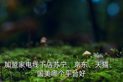 加盟家電線下店蘇寧、京東、天貓、 國(guó)美哪個(gè)平臺(tái)好