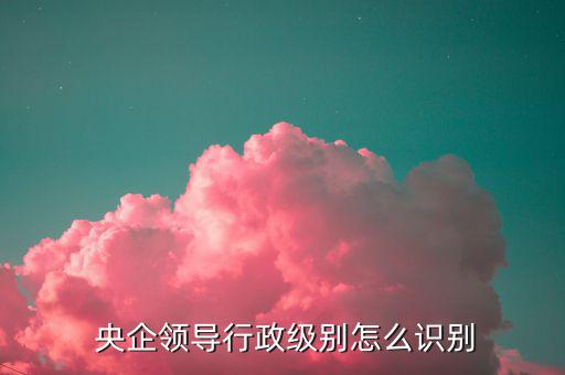  央企領(lǐng)導行政級別怎么識別
