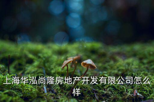 上海華泓尚隆房地產開發(fā)有限公司怎么樣