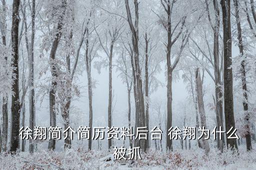 徐翔是怎么回事,徐翔、王偉、犯受賄罪被判入獄五年半