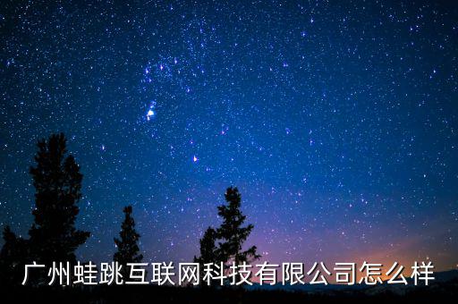 廣州蛙跳互聯網科技有限公司怎么樣