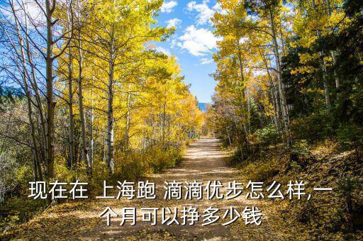 上海滴滴專車(chē)怎么開(kāi)最掙錢(qián),在線租車(chē)服務(wù)從何而來(lái)?