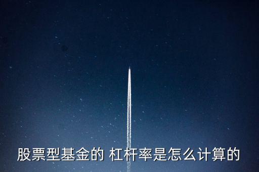 擔保杠桿率怎么算,股票型基金杠桿的計算方式