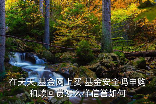 在天天 基金網上買 基金安全嗎申購和贖回費怎么樣信譽如何