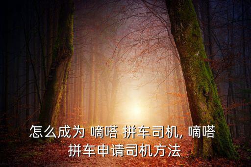 嘀嗒拼車(chē)怎么聯(lián)系乘客,一對(duì)一接送服務(wù)訂單詳情請(qǐng)看這里!