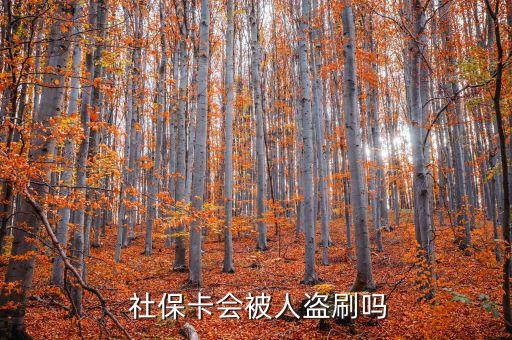 社?？ū槐I刷怎么辦,社保補卡服務丟了怎么辦