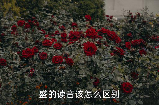 嘉盛中心的盛怎么讀,盛會、豐盛、茂盛、盛大等五個漢字