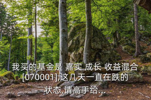 我買的基金是 嘉實(shí) 成長 收益混合[070001],這幾天一直在跌的狀態(tài),請(qǐng)高手給...
