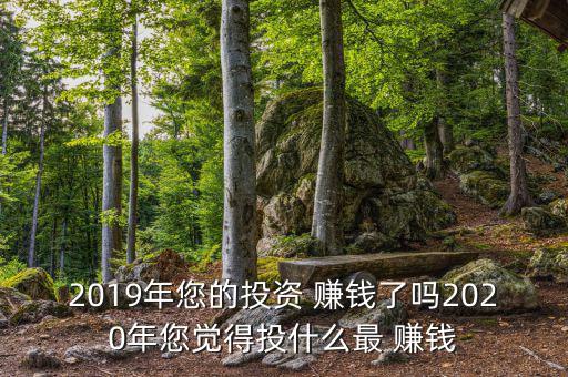 2019年您的投資 賺錢(qián)了嗎2020年您覺(jué)得投什么最 賺錢(qián)