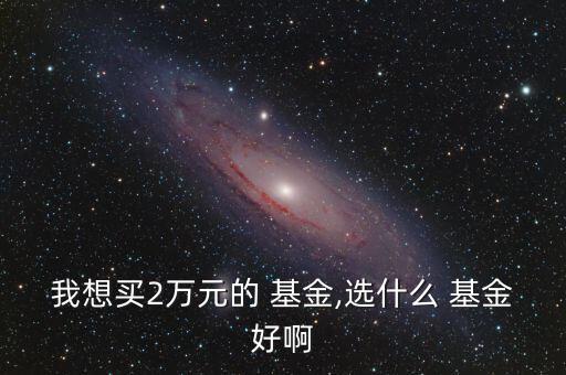 我想買(mǎi)2萬(wàn)元的 基金,選什么 基金好啊
