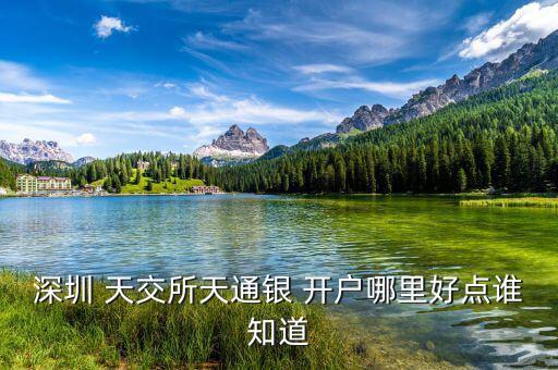 深圳 天交所天通銀 開戶哪里好點(diǎn)誰知道