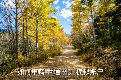 如何申請(qǐng) 世通 外匯模擬賬戶(hù)