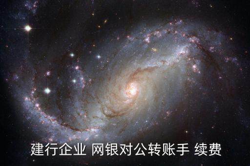  建行企業(yè) 網(wǎng)銀對公轉賬手 續(xù)費