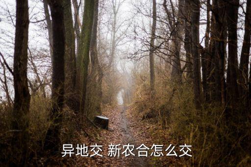  異地交 新農合怎么交