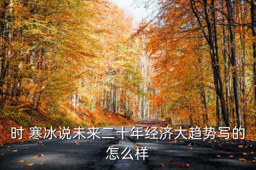 時 寒冰說未來二十年經(jīng)濟(jì)大趨勢寫的怎么樣