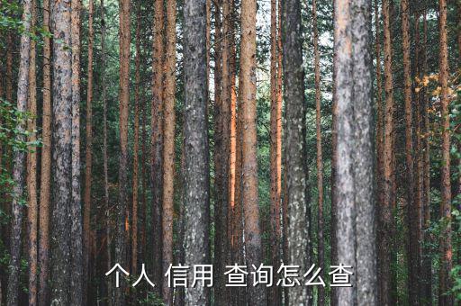 個人信用怎么查詢,個人征信查詢入口點擊驗證試用版