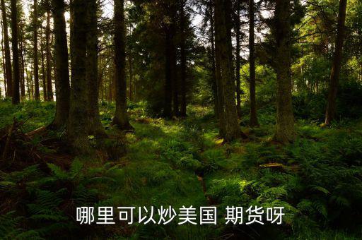 怎么炒美國(guó)期貨,期貨交易特點(diǎn):交易費(fèi)用由期貨公司提供；
