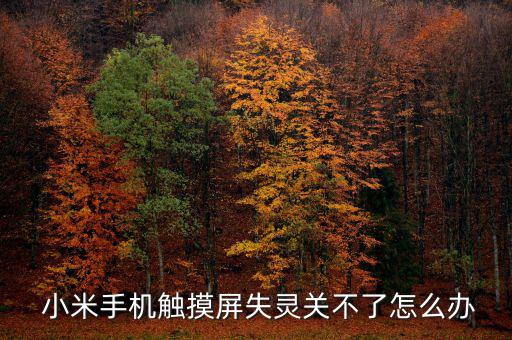  小米手機觸摸屏失靈關不了怎么辦