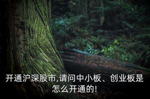開通滬深股市,請問中小板、創(chuàng)業(yè)板是怎么開通的!
