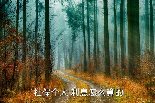 社保利息是怎么收的,社保每年6萬元個(gè)人結(jié)余多少利息?