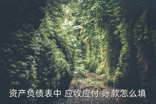 資產(chǎn)負債表中 應(yīng)收應(yīng)付 賬款怎么填