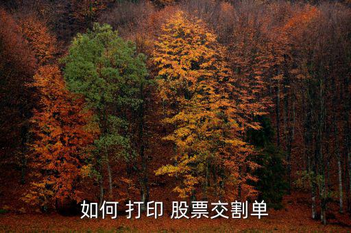 怎么打印股票的資金明細(xì),股票送貨單可在網(wǎng)上查詢(xún)