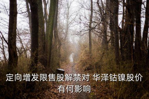 華澤鈷鎳怎么樣,鎳礦概念股:吉恩鎳業(yè)、華澤鈷鎳、恒順電氣