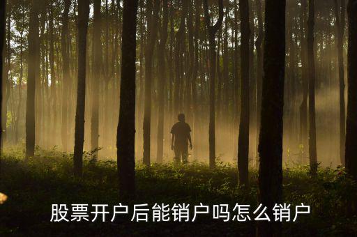 股票賬戶(hù)銀行卡注銷(xiāo)怎么弄,注銷(xiāo)股票賬戶(hù)需要具備以下條件