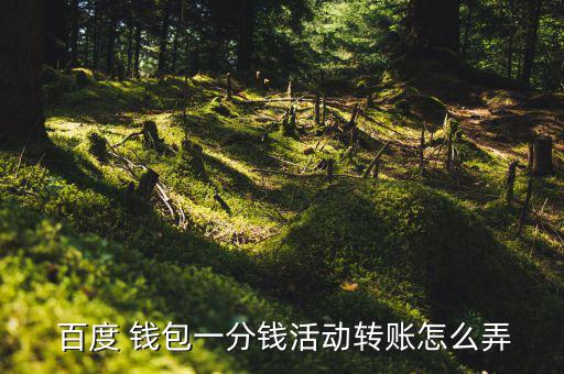  百度 錢(qián)包一分錢(qián)活動(dòng)轉(zhuǎn)賬怎么弄