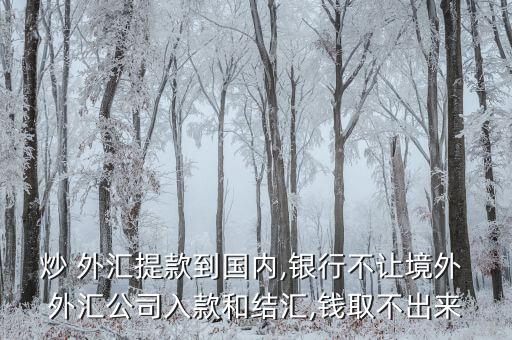 炒 外匯提款到國(guó)內(nèi),銀行不讓境外 外匯公司入款和結(jié)匯,錢取不出來(lái)