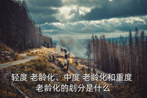 輕度 老齡化、中度 老齡化和重度 老齡化的劃分是什么
