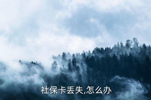  社?？▉G失,怎么辦