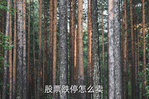 股票跌停怎么賣(mài)