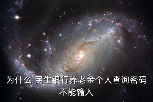民生銀行企業(yè)年金怎么查,商業(yè)銀行企業(yè)年金查詢(xún)個(gè)人賬戶1