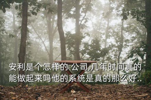 安利是個(gè)怎樣的 公司,幾年時(shí)間真的能做起來嗎他的系統(tǒng)是真的那么好...