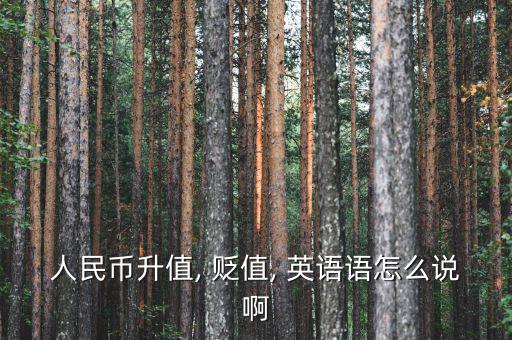 人民幣升值, 貶值, 英語語怎么說啊