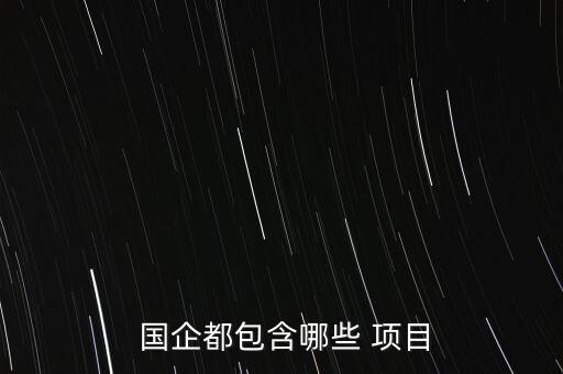 國企項(xiàng)目怎么談,國企收錄了哪些企業(yè)?