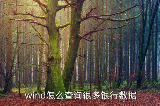  wind怎么查詢(xún)很多銀行數(shù)據(jù)