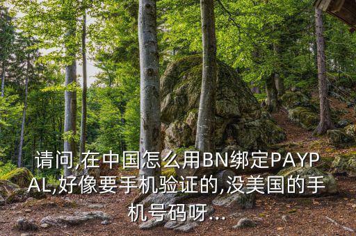 請問,在中國怎么用BN綁定PAYPAL,好像要手機(jī)驗(yàn)證的,沒美國的手機(jī)號碼呀...