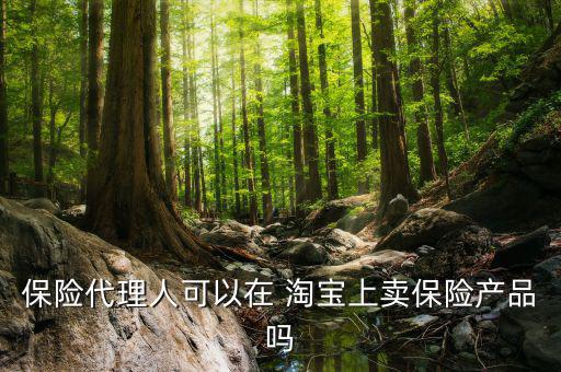保險(xiǎn)代理人可以在 淘寶上賣(mài)保險(xiǎn)產(chǎn)品嗎