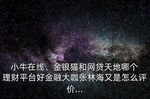  小牛在線、金銀貓和網(wǎng)貸天地哪個(gè) 理財(cái)平臺(tái)好金融大咖張林海又是怎么評(píng)價(jià)...