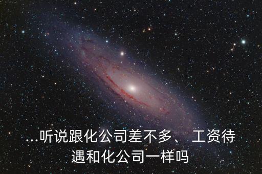 ...聽說跟化公司差不多、 工資待遇和化公司一樣嗎