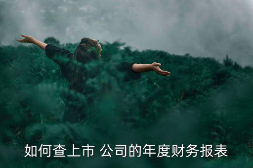 怎么找公司年報,點擊查詢即可查詢公司年報及定期報告