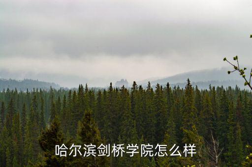 廣廈網絡怎么樣,廣廈天都城天風苑位于天翔東路環(huán)東路