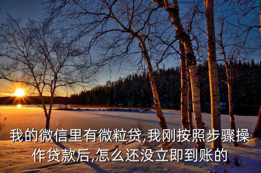 嗨秒貸顯示分期成功怎么沒(méi)到賬,貸款須滿(mǎn)足哪四點(diǎn)?