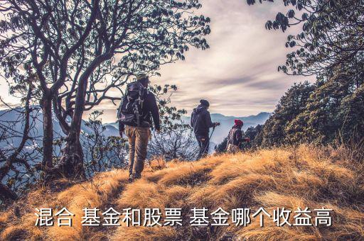 銀華中小盤混合基金怎么樣,韓東言投資能力獲五年金?；?/></a></span><span id=